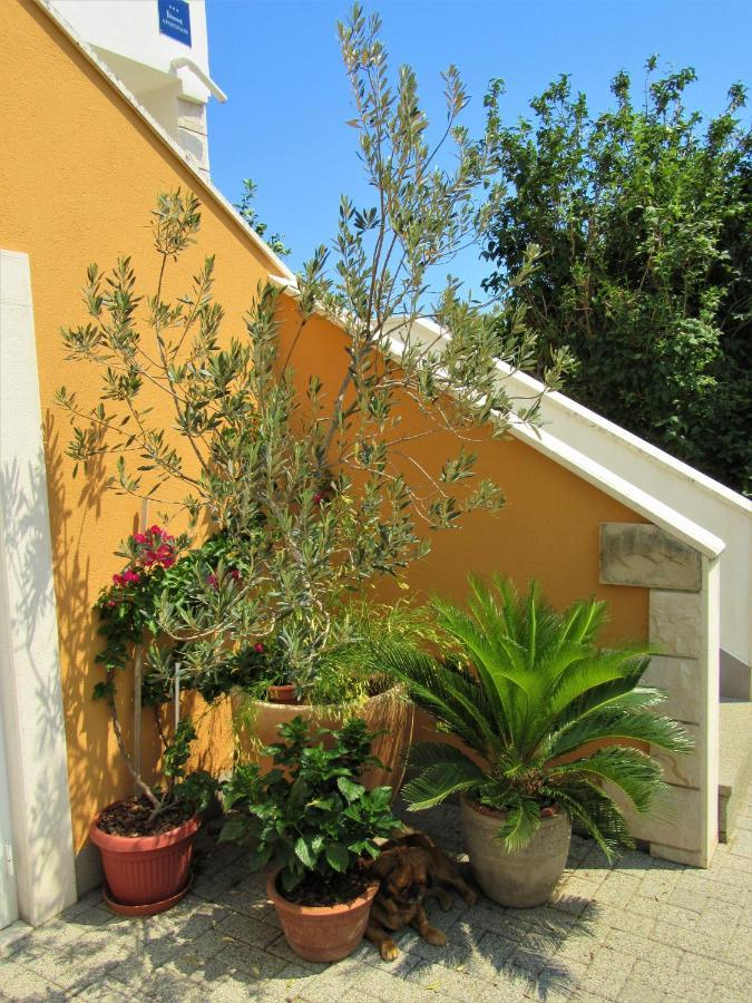 Apartment Andrea Orebic Bagian luar foto